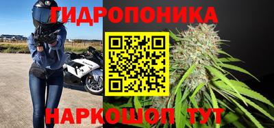 кокс Абинск