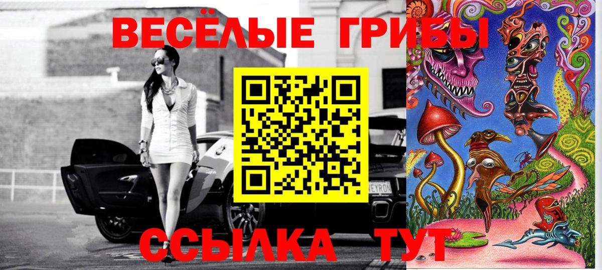Псилоцибиновые грибы Cubensis Азнакаево