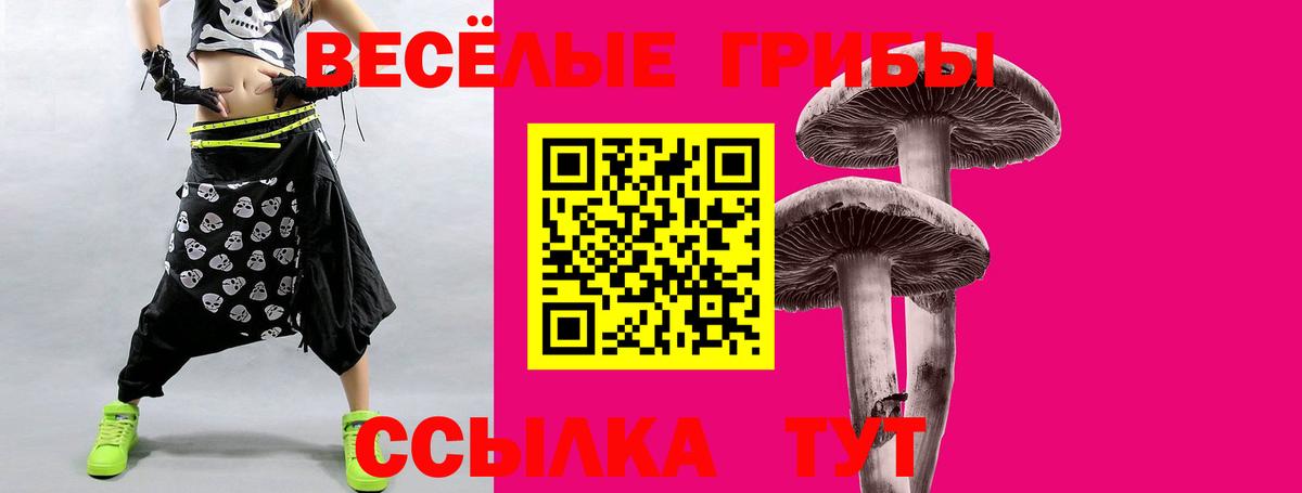 Азнакаево  Псилоцибиновые грибы Cubensis  Вход с VPN 